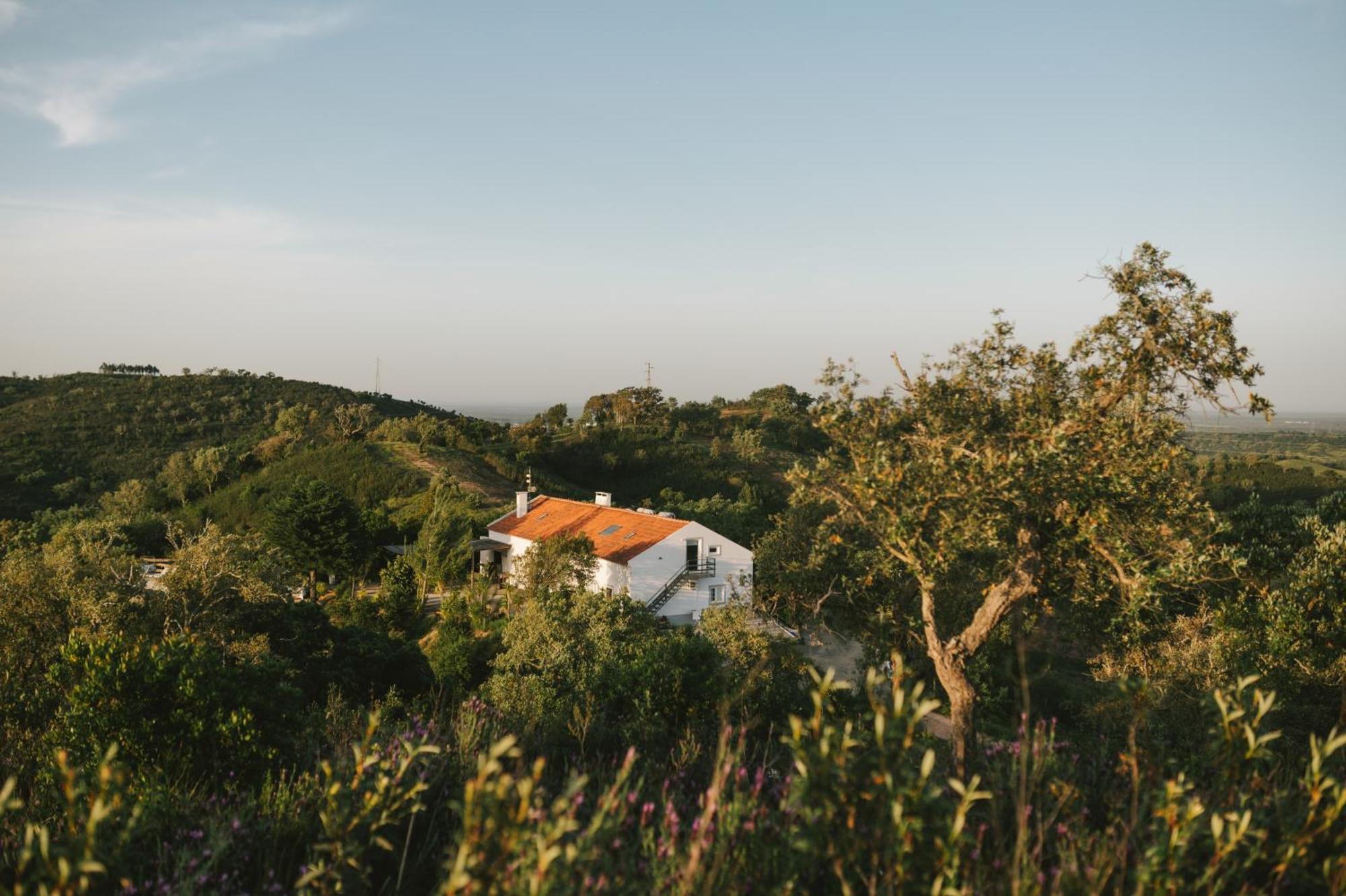 The One - Country House Grândola Exteriér fotografie